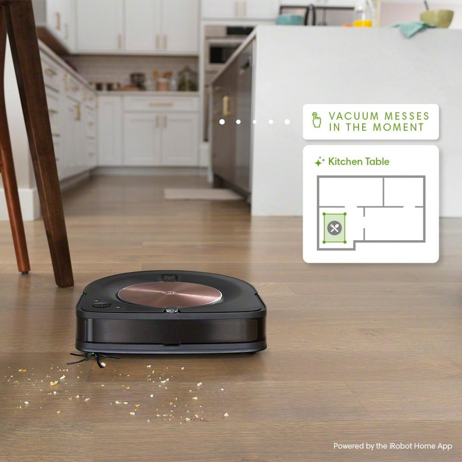 Buy iRobot Roomba s9 Plus 1200 Watts Robotic Vacuum Cleaner (0.55